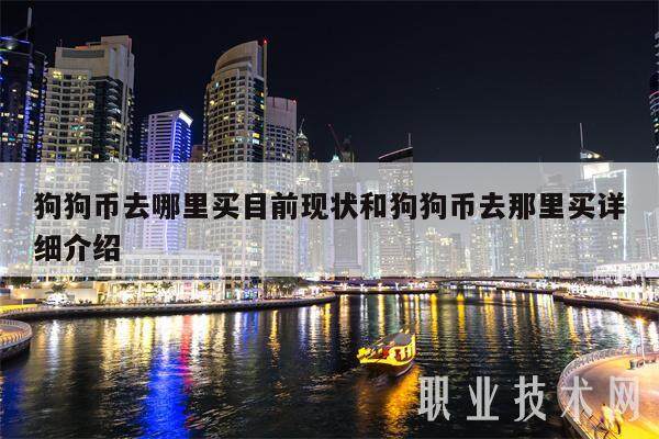 狗狗币去哪里买目前现状和狗狗币去那里买详细介绍-第1张图片-交易所